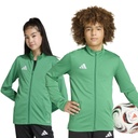 adidas Entrada 26 Trainingsjacke grün Kinder 