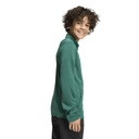 adidas Entrada 26 Trainingsjacke grün Kinder 