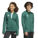 adidas Entrada 26 Trainingsjacke grün Kinder 
