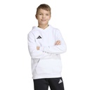  adidas Entrada 26 Kapuzenpullover weiß Kinder