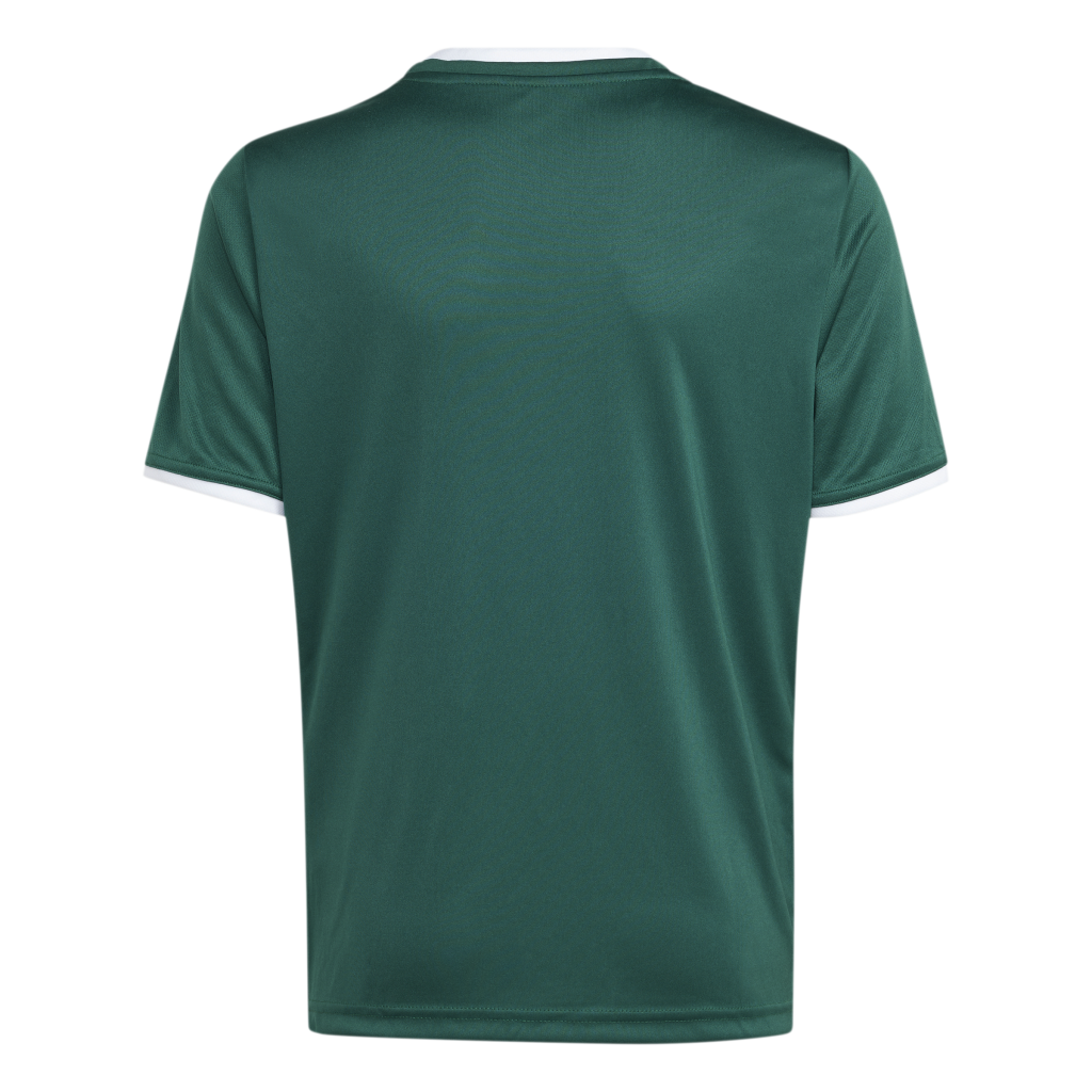 adidas Entrada 26 Trikot grün Kinder