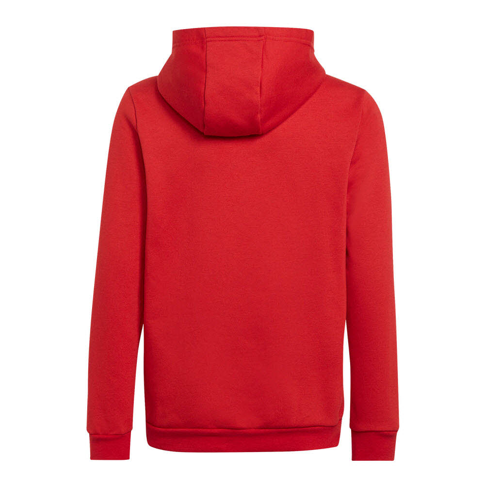 adidas_Entrada_22_Sweat_Hoodie_Kapuzenpullover_rot_Kinder_232299165KTT03_1.jpg