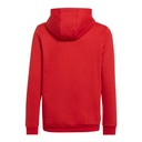 adidas_Entrada_22_Sweat_Hoodie_Kapuzenpullover_rot_Kinder_232299165KTT03_1.jpg