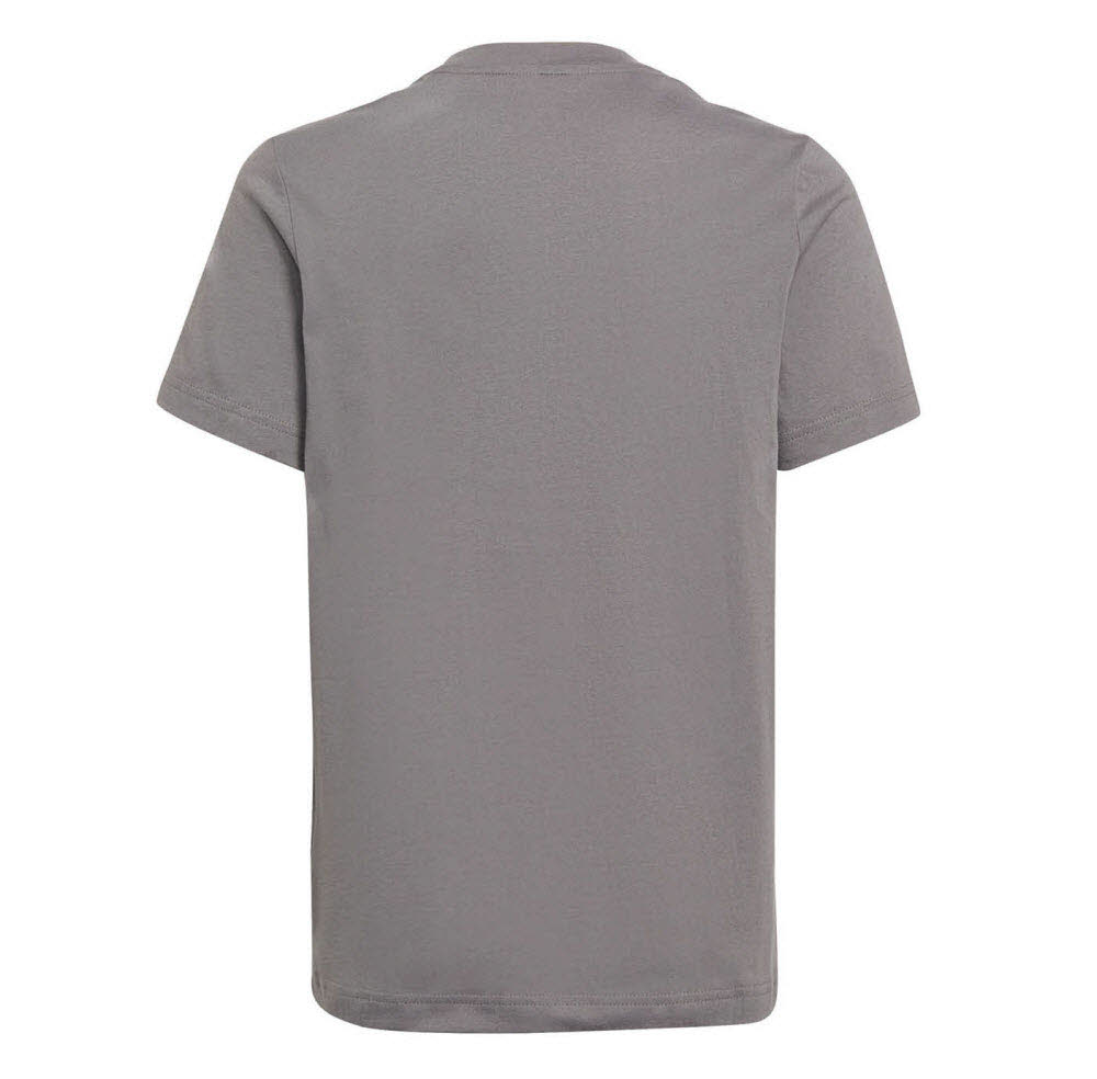 adidas_Entrada_22_T_Shirt_grau_Kinder_232126206KTT03_1.jpg