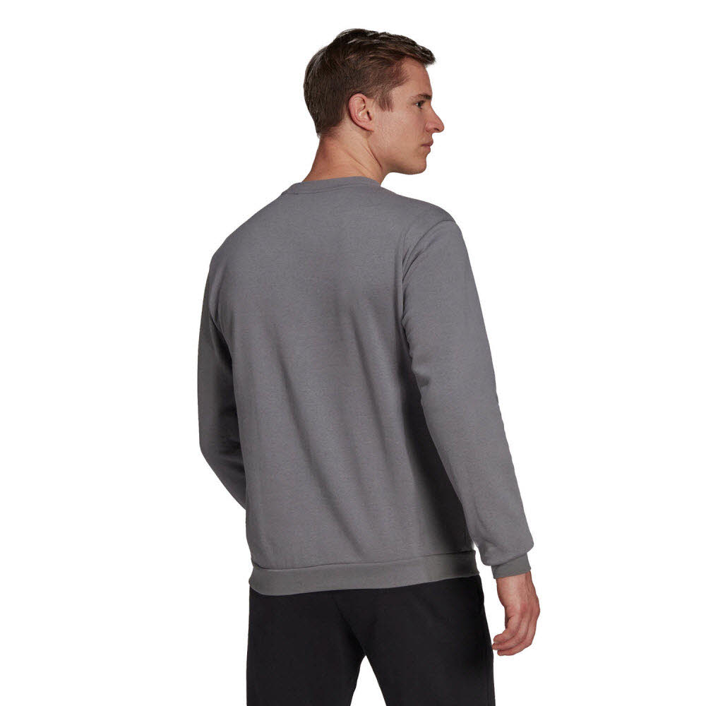 adidas_Entrada_22_Sweatshirt_grau_Herren_232277291TEA01_5.jpg