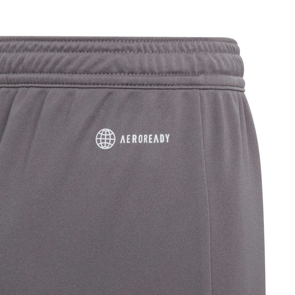 adidas_Entrada_22_Shorts_grau_Kinder_232913167A3201_3.jpg