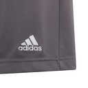 adidas_Entrada_22_Shorts_grau_Kinder_232913167A3201_4.jpg