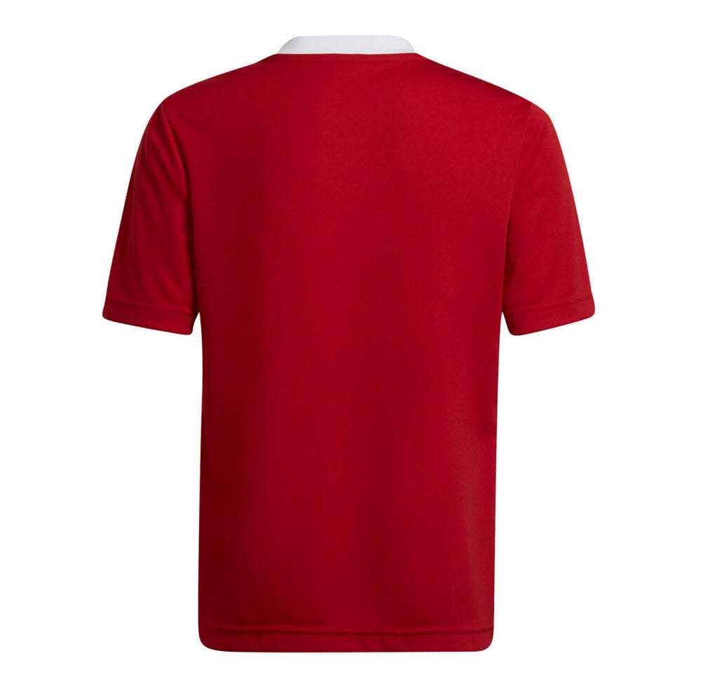 adidas_Entrada_22_Trikot_rot_Kinder_232906390KTT03_1_1.jpg