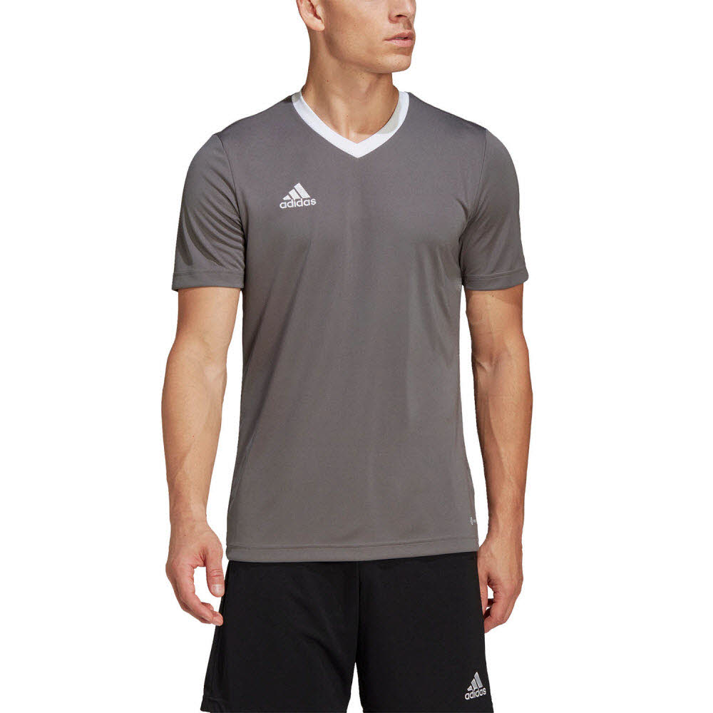 adidas_Entrada_22_Trikot_grau_Herren_232904861TEA01_3.jpg