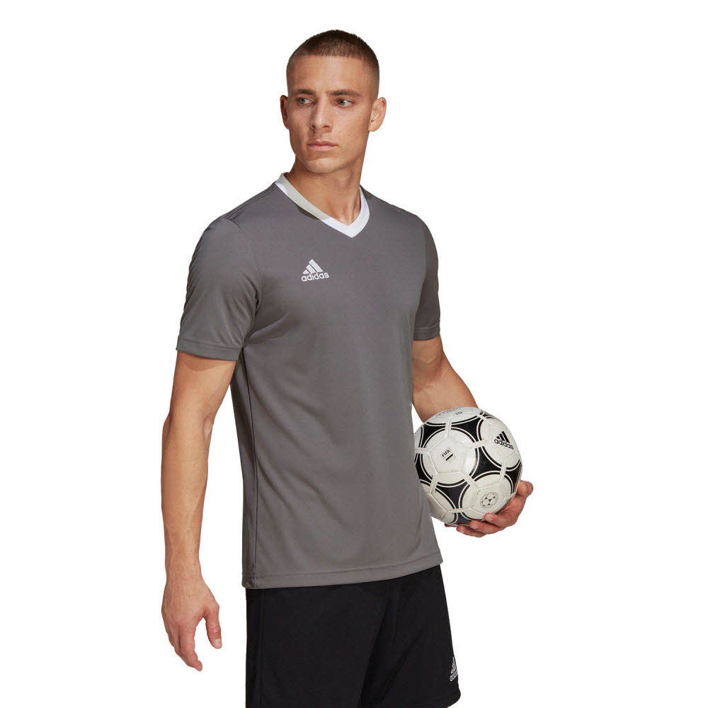 adidas_Entrada_22_Trikot_grau_Herren_232904861TEA01_4.jpg