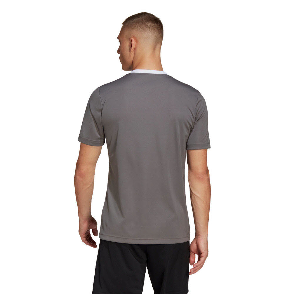 adidas_Entrada_22_Trikot_grau_Herren_232904861TEA01_5.jpg