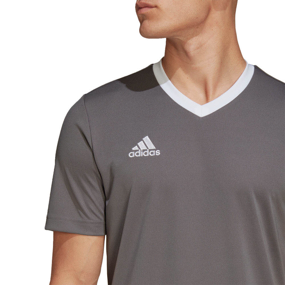 adidas_Entrada_22_Trikot_grau_Herren_232904861TEA01_6.jpg