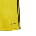 232906901-5.jpg
