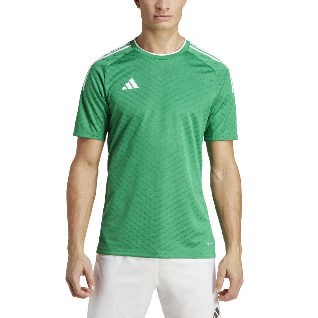 232981075-5.jpg