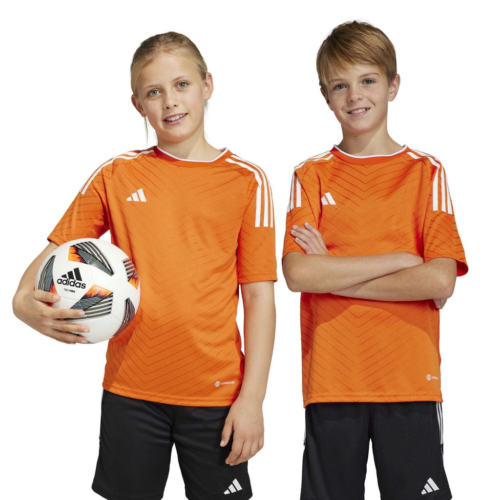 232906915-6.jpg