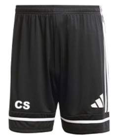 TSV Burgdorf Trainingsshorts schwarz