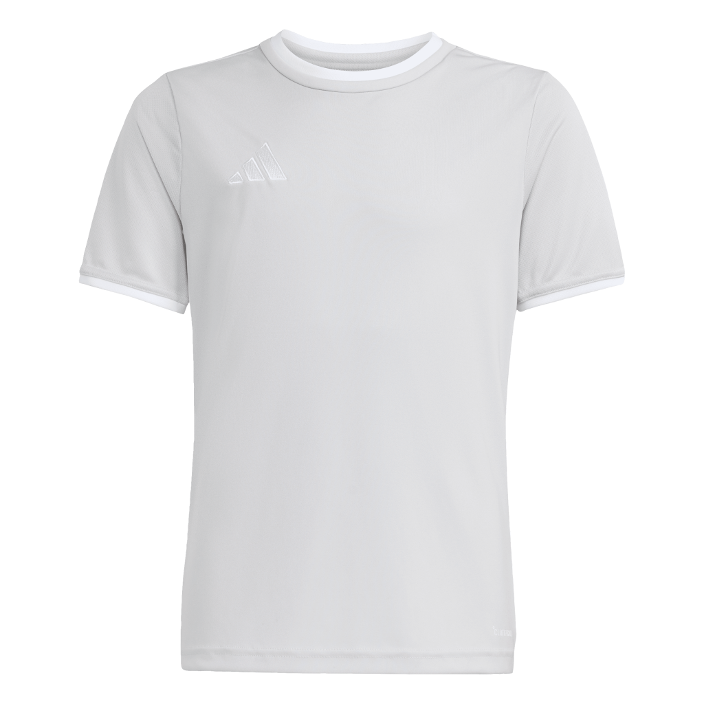 adidas Entrada 26 Trikot grau Kinder