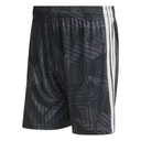 adidas Tiro 26 Competition Torwartshorts schwarz