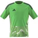adidas Tiro 26 Competition Torwarttrikot grün Kinder