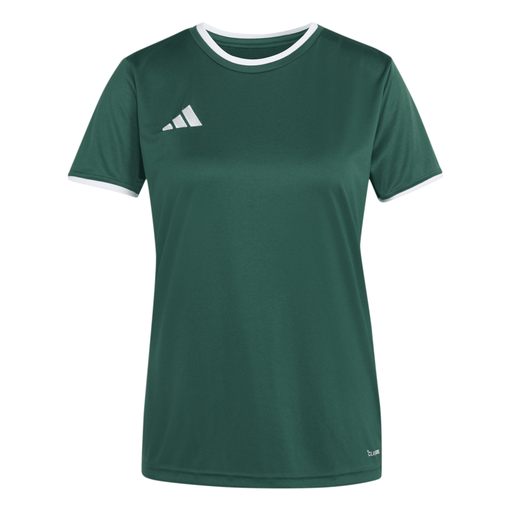 adidas Entrada 26 Trikot grün Damen