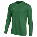 Nike Dri-FIT Park VIII Trikot Langarm grün 
