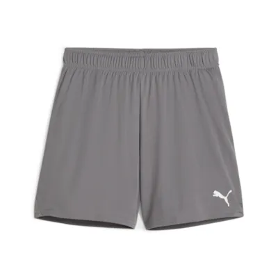 Puma teamGOAL Shorts grau Damen