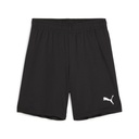 TuS Altwarmbüchen Puma teamGOAL Shorts schwarz Kinder 