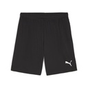 TuS Altwarmbüchen Puma teamGOAL Shorts schwarz 