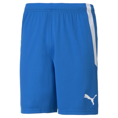 Puma teamLIGA Shorts blau