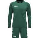 Hummel Core Torwartset grün