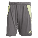 adidas Tiro 24 Shorts grau