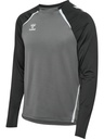 Hummel Lead 2.0 Crew Sweatshirt grau