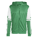 adidas Squadra 25 Kapuzenjacke grün