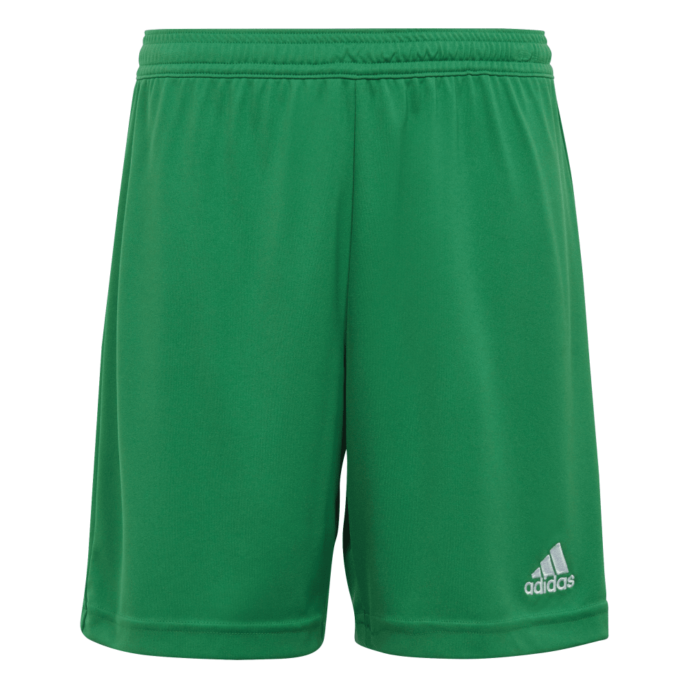 adidas Entrada 22 Shorts grün Kinder