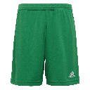 adidas Entrada 22 Shorts grün Kinder