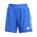adidas Tiro 25 Competition Match Shorts blau Damen