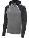 Hummel Lead 2.0 Kapuzenjacke grau