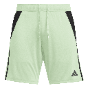 adidas Tiro 24 Shorts grün 