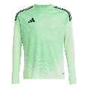 adidas Tiro 25 Competition Torwarttrikot Langarm grün Kinder