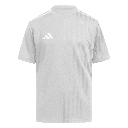 adidas Campeon 25 Trikot grau Kinder