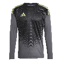 adidas Tiro 25 Competition Torwarttrikot Langarm grau
