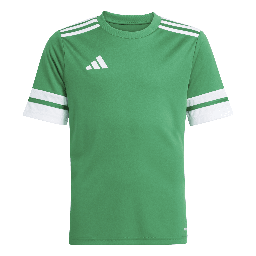 adidas Squadra 25 Trikot grün Kinder