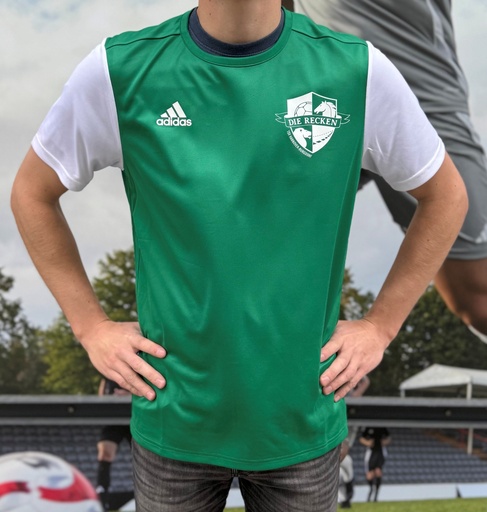 Trikot Grünsturm