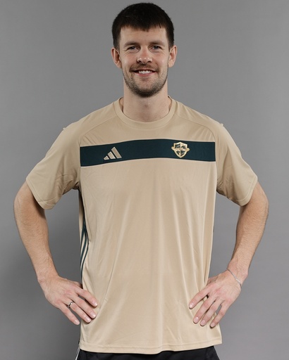 Trikot Tannengold
