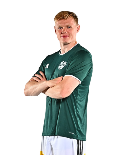 Trikot Grünblitz 3.0
